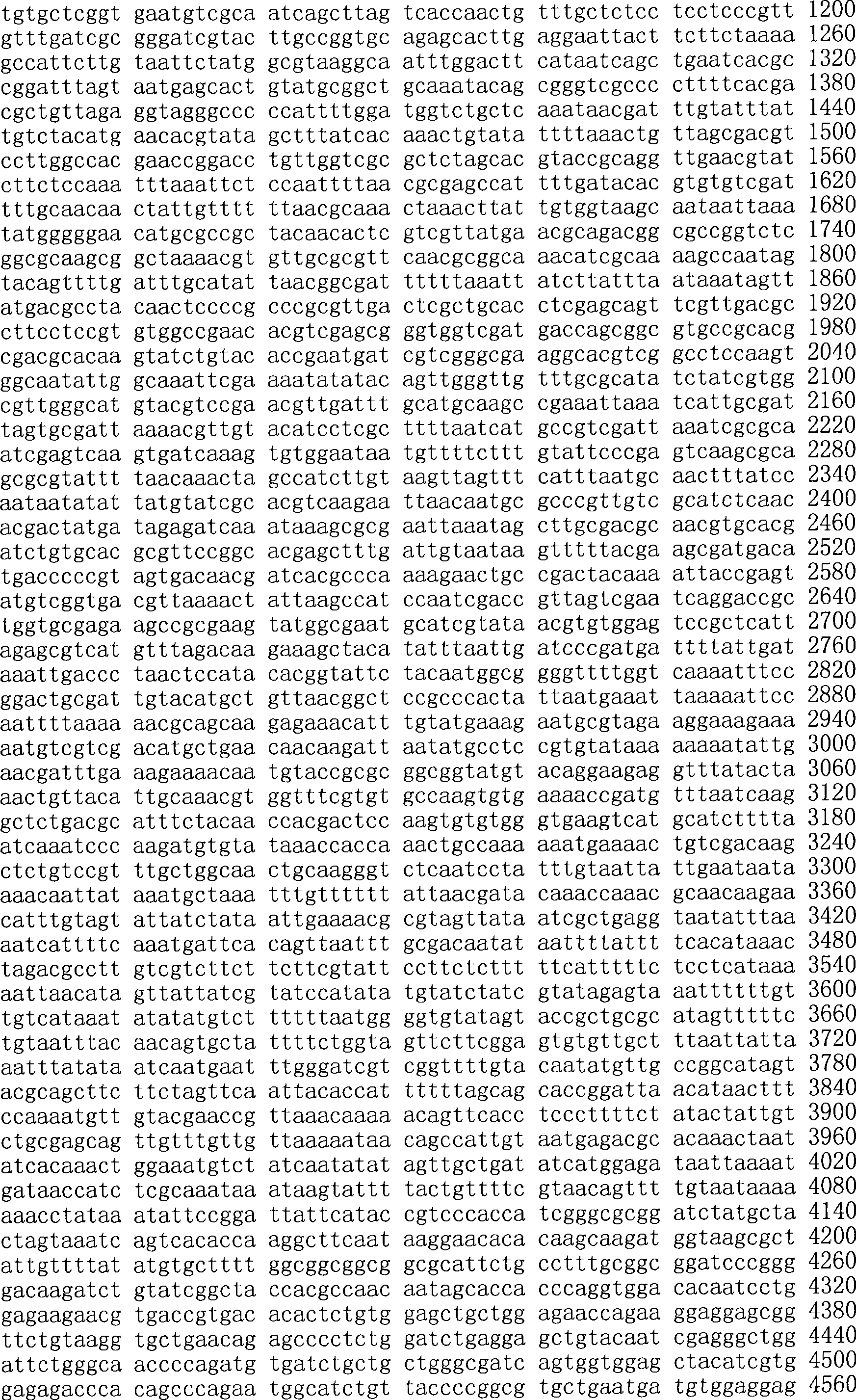 Figure A200780009494D02561