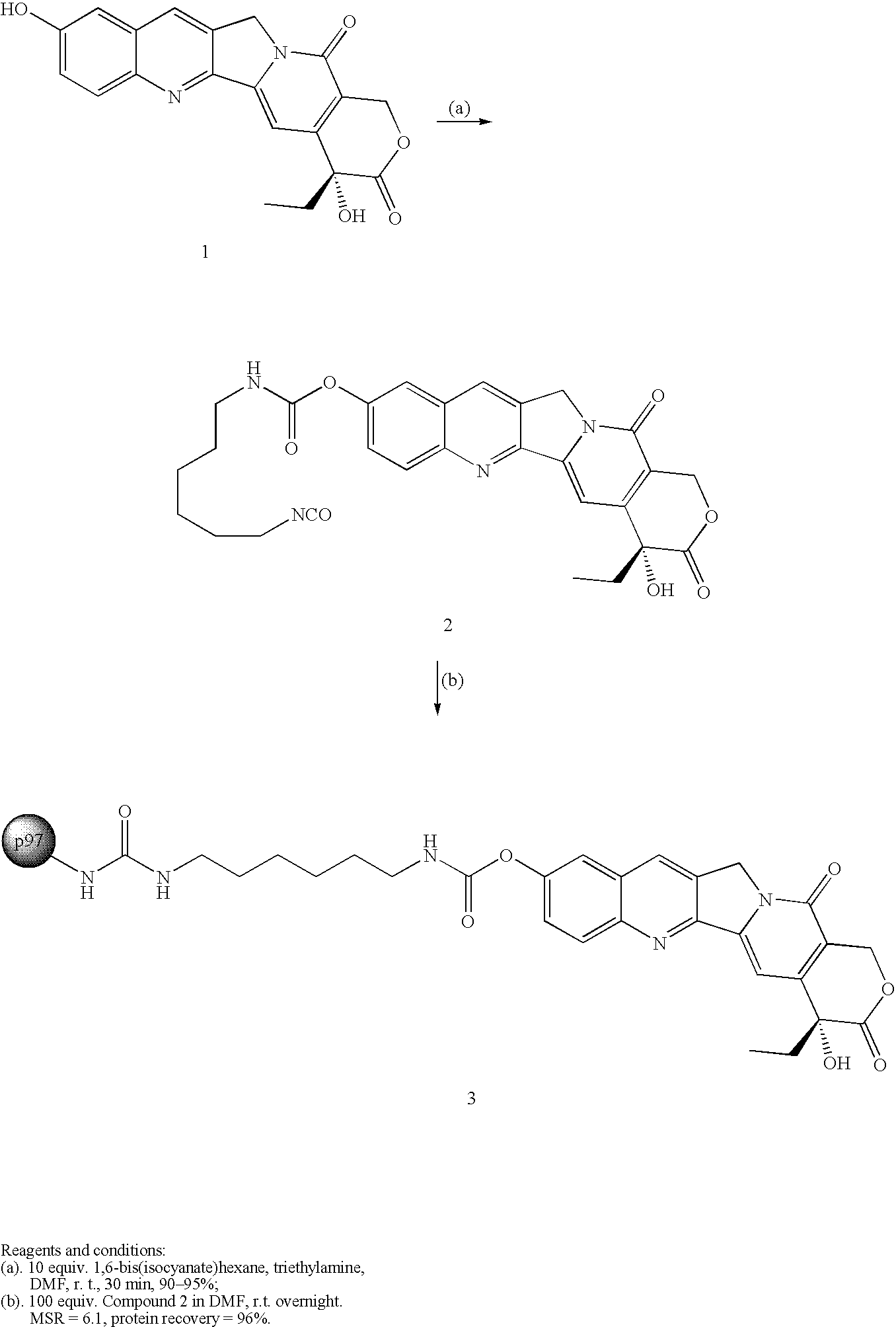 Figure US20060029586A1-20060209-C00019