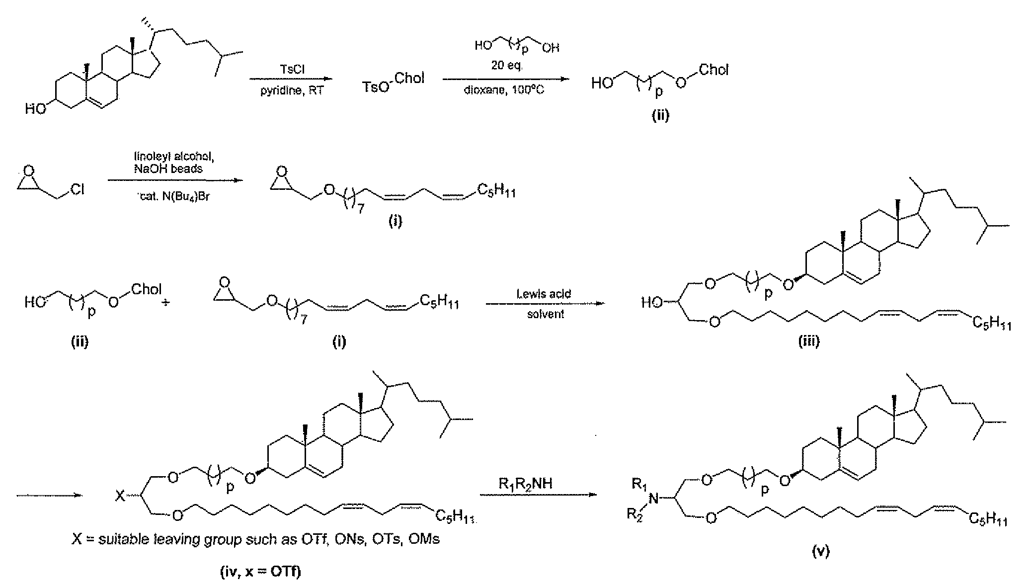 Figure imgf000011_0001