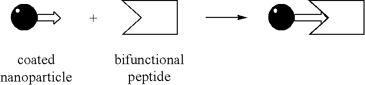 Figure US20040058457A1-20040325-C00002