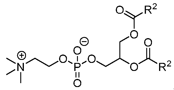 Figure imgf000122_0001