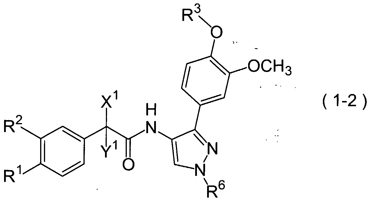 Figure imgf000005_0001
