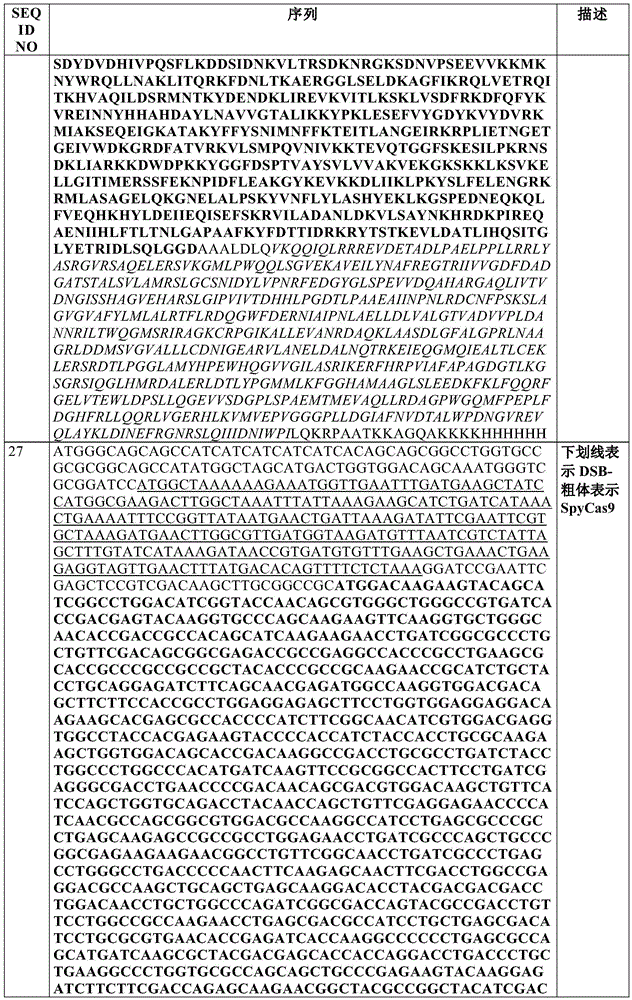 Figure BDA0002550795540001131