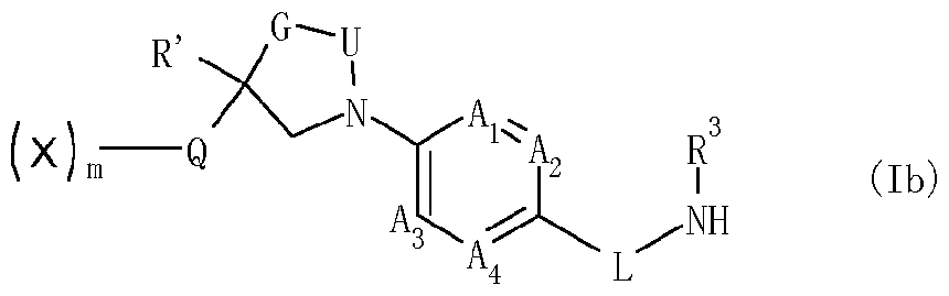 Figure imgf000013_0005
