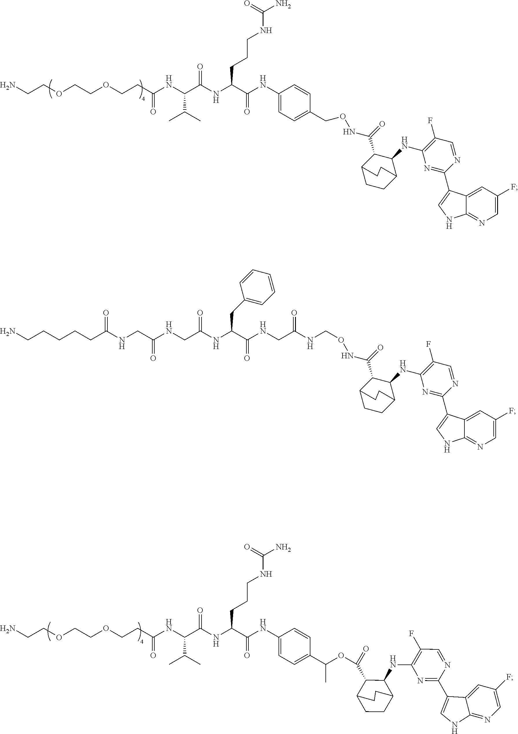 Figure US20250041433A1-20250206-C00228