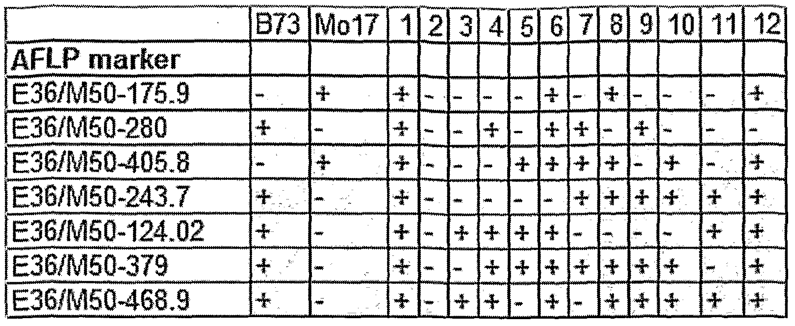 Figure imgf000024_0001