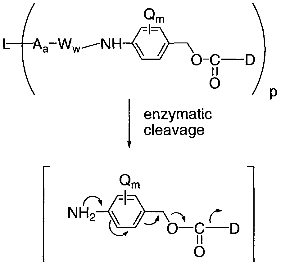 Figure imgf000080_0001