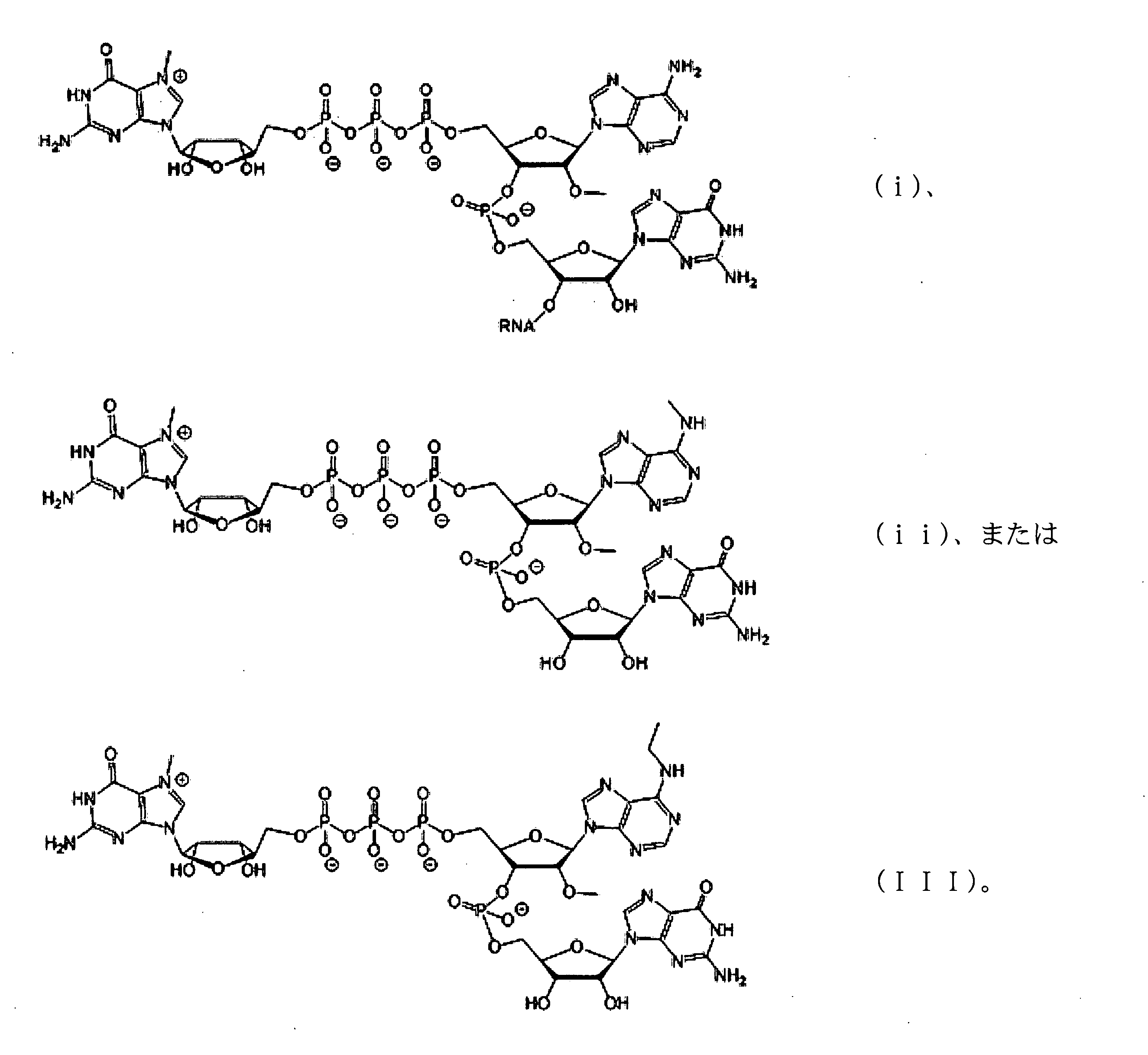 Figure 2022521094000002