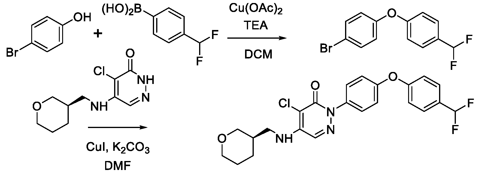 Figure imgf000587_0001