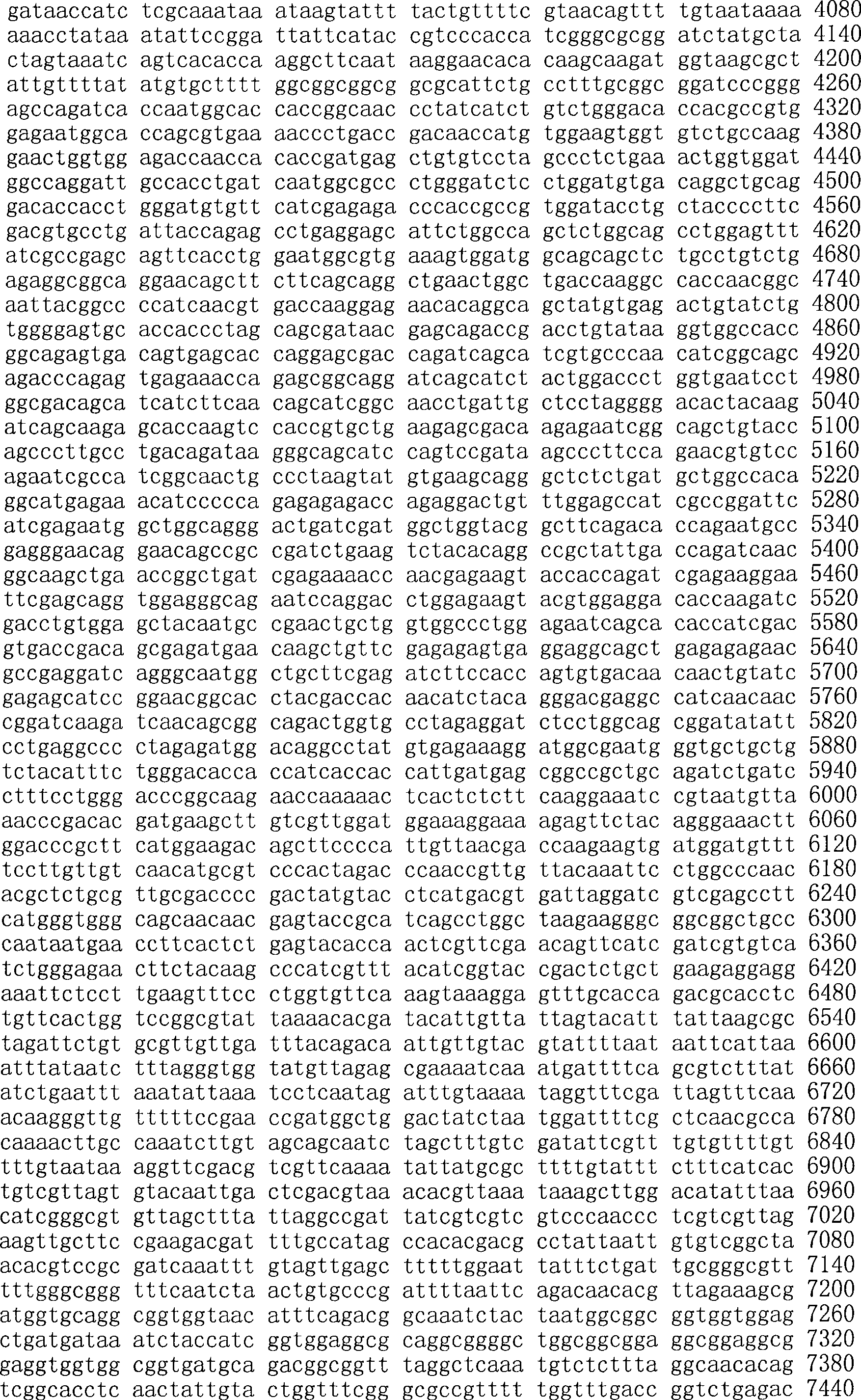 Figure A200780009494D01691