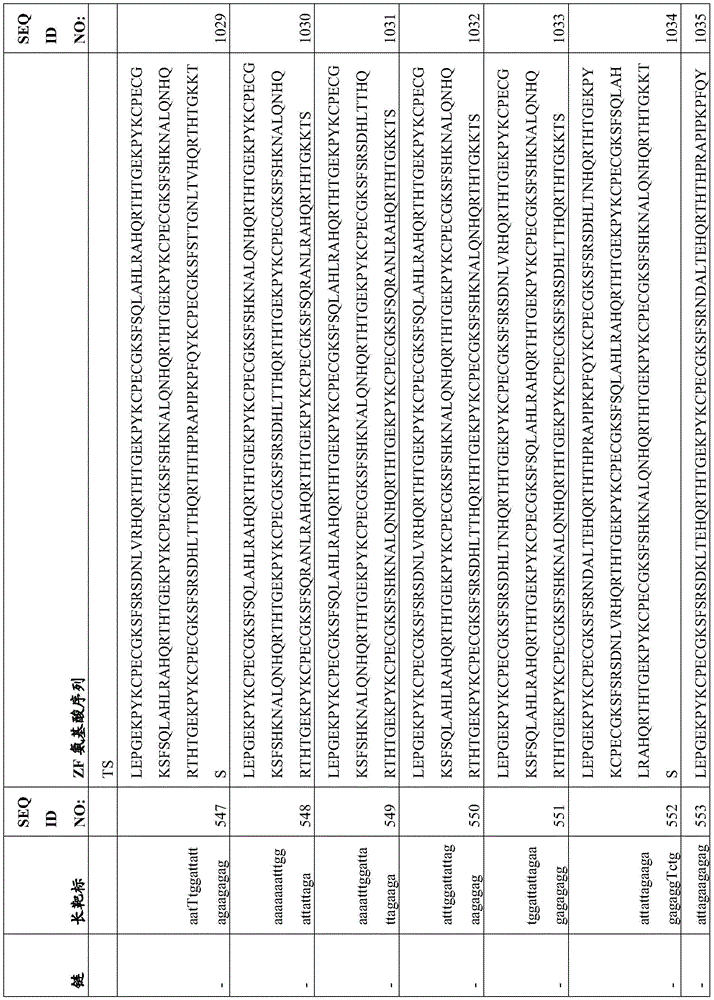 Figure BDA0003935065550001101