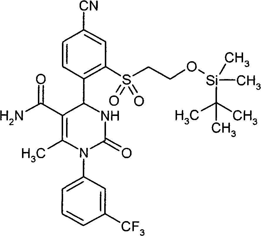 Figure BPA00001160889100701