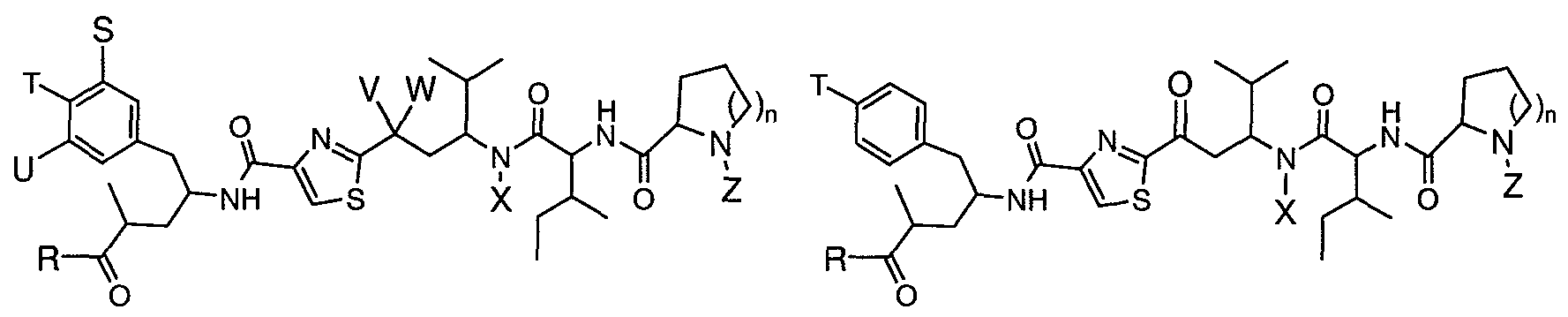 Figure imgf000009_0001