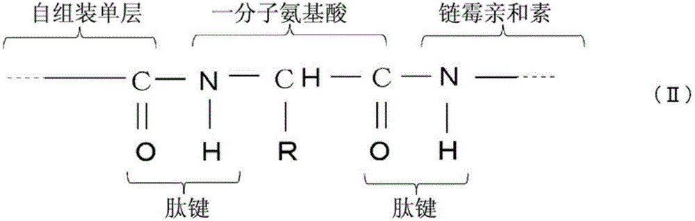 Figure FDA00002500046300031