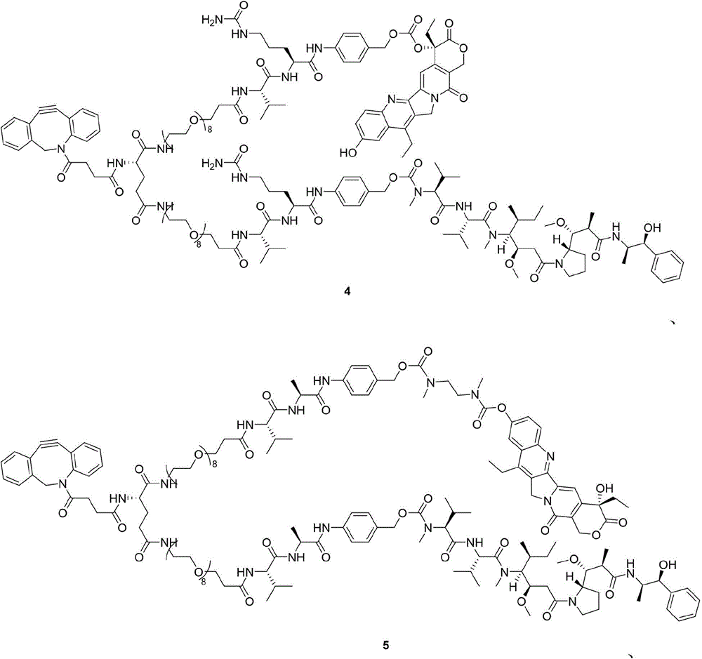 Figure BDA0003850165580000261
