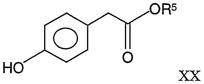 Figure imgf000025_0002