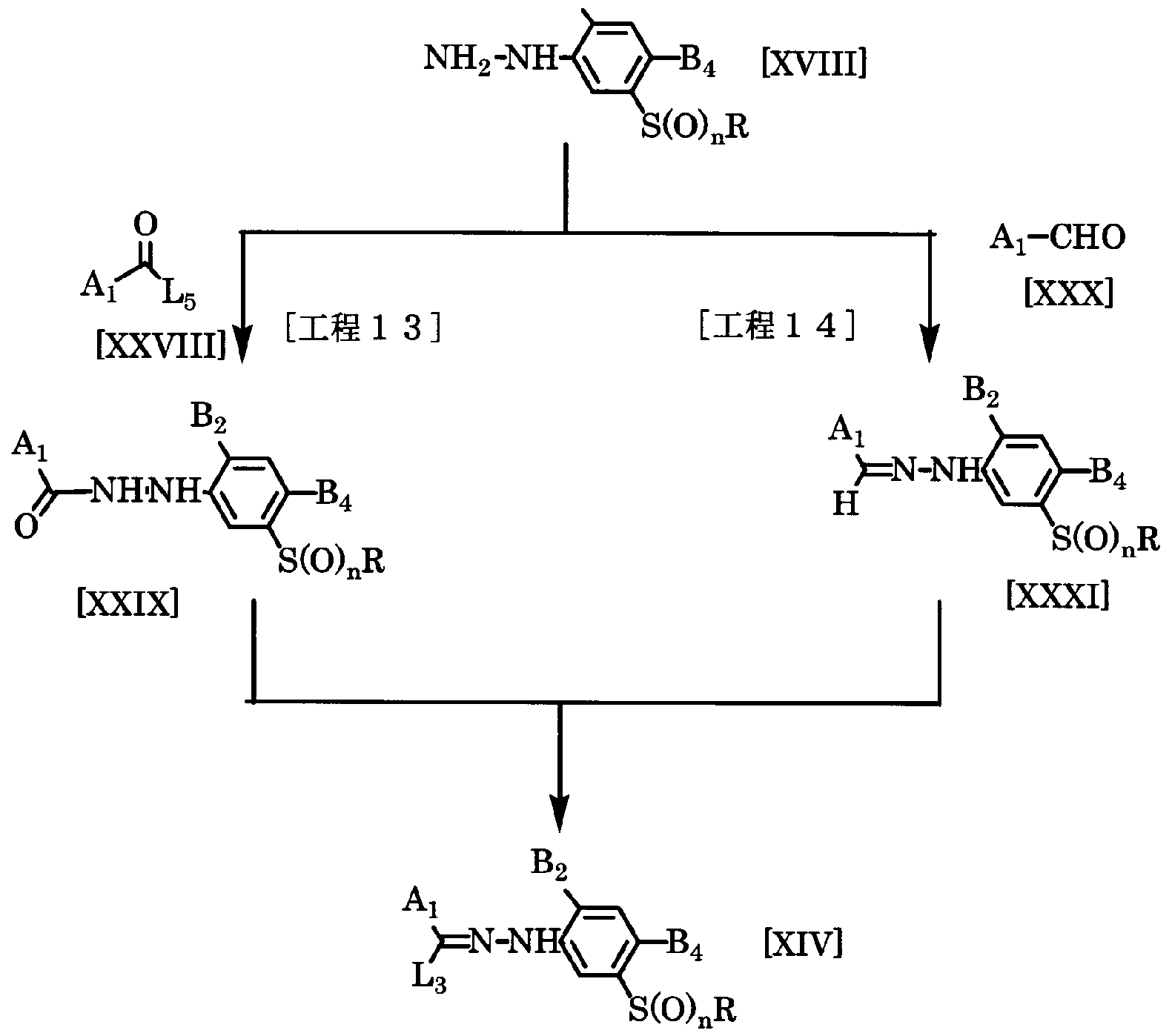 Figure imgf000050_0001