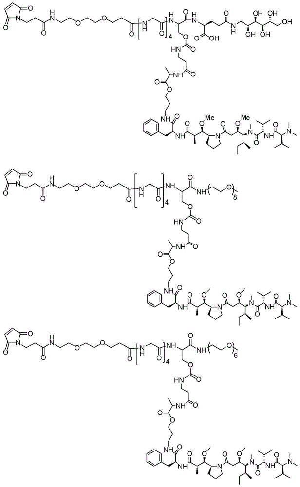 Figure BDA0003135424430001741