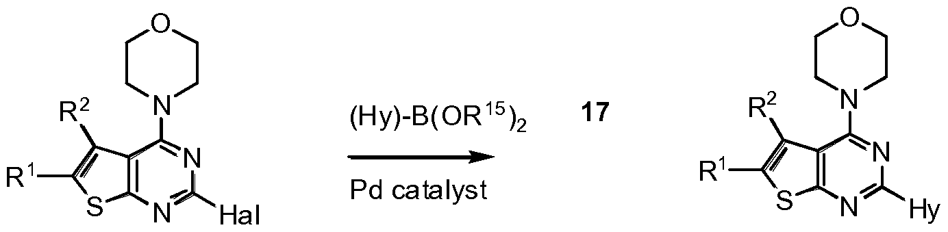Figure imgf000095_0002