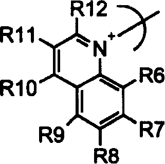 Figure C2004800314020003C2