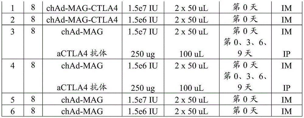 Figure BDA0002872168850001591