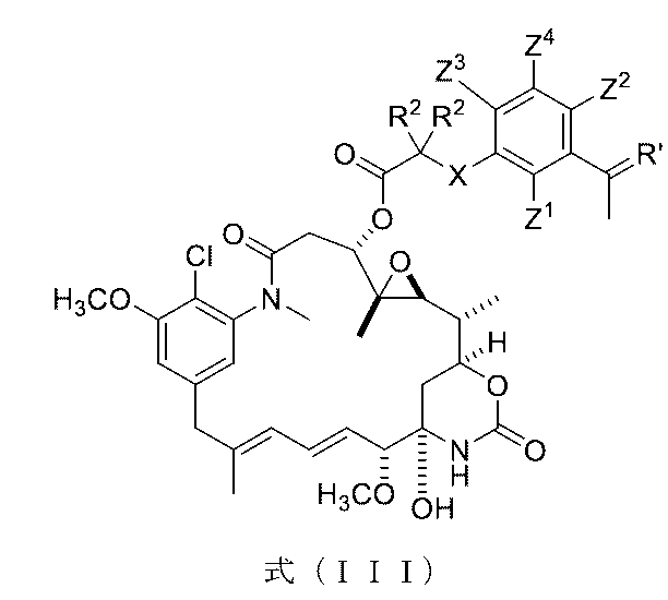 Figure 0007442821000048