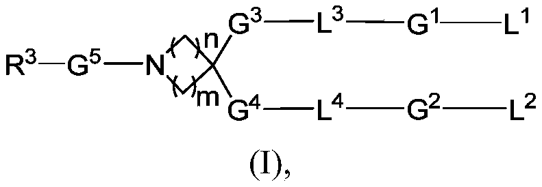 Figure PCTCN2021113572-appb-000002
