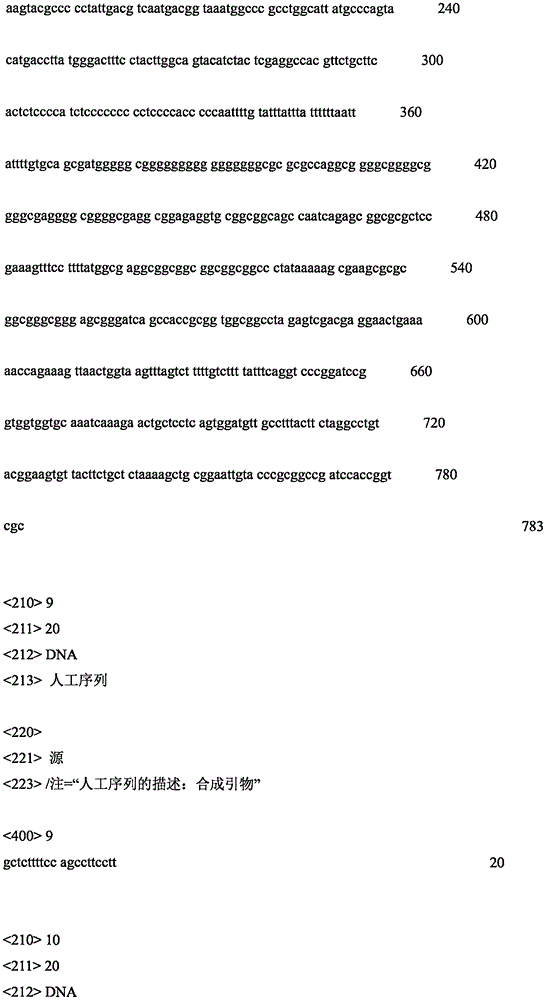 Figure IPA0000261779010000241