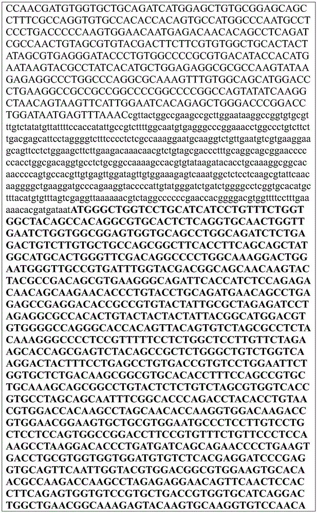 Figure BDA0002872168850002031