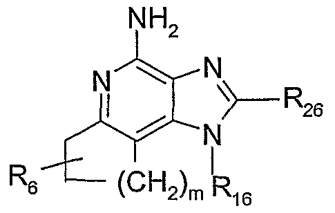 Figure imgf000013_0002