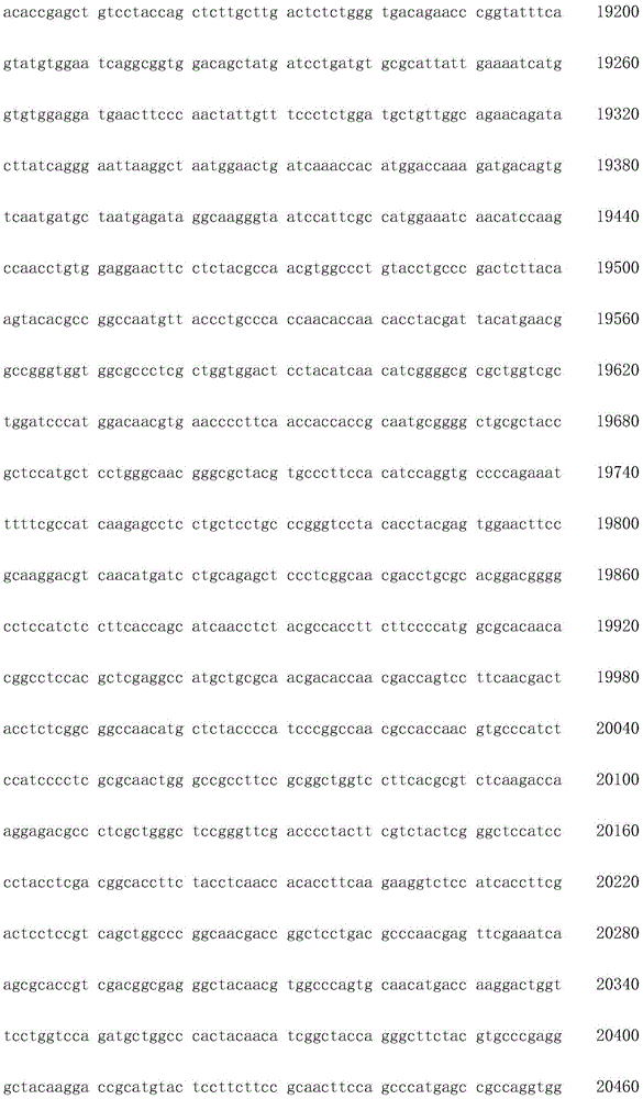 Figure IDA0002872168960000441