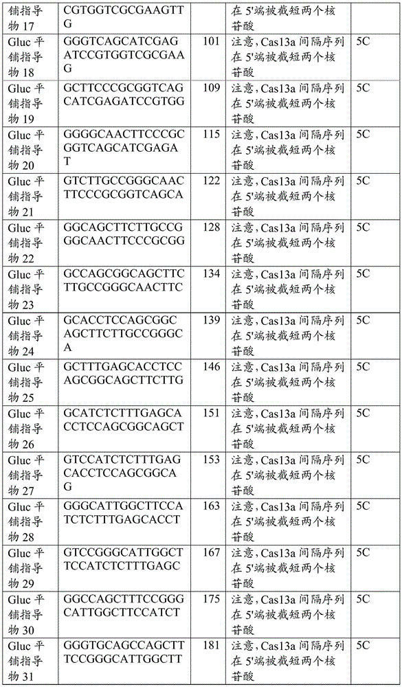 Figure BDA0002313867470003231