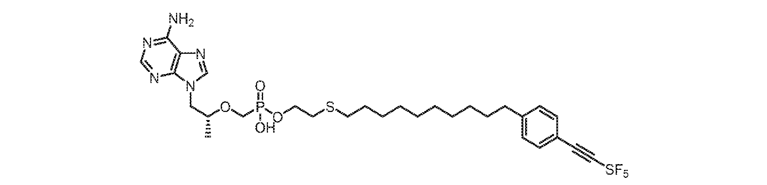 Figure 0007678795000245