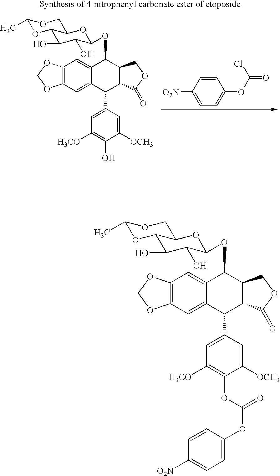 Figure US20080176958A1-20080724-C00063