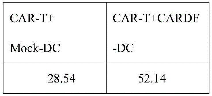 Figure GDA0002998296220000121