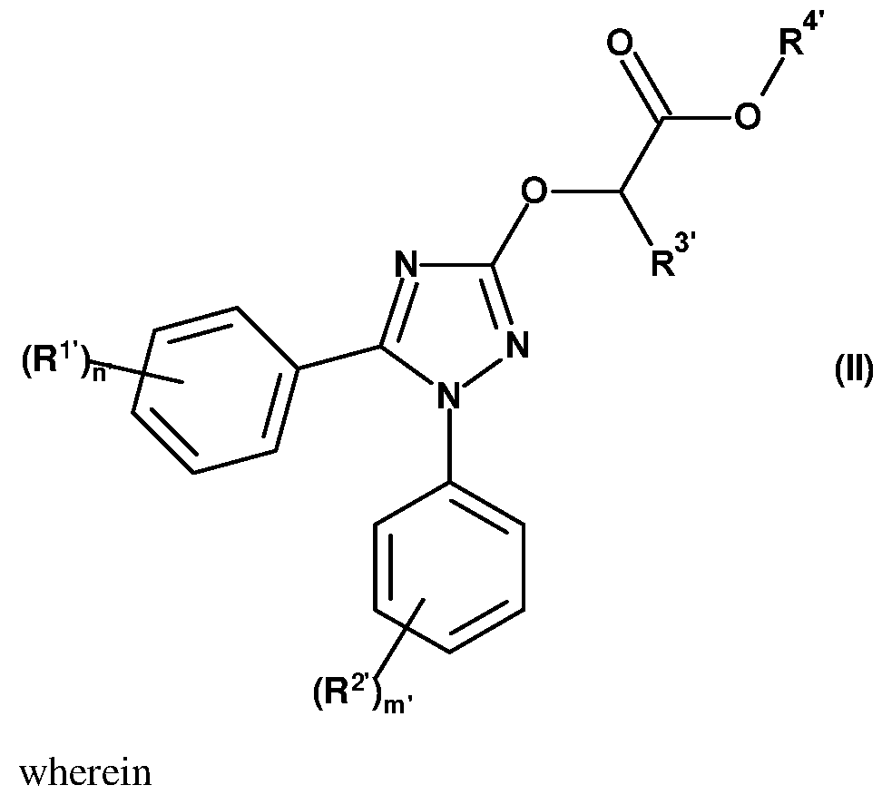 Figure imgf000003_0001