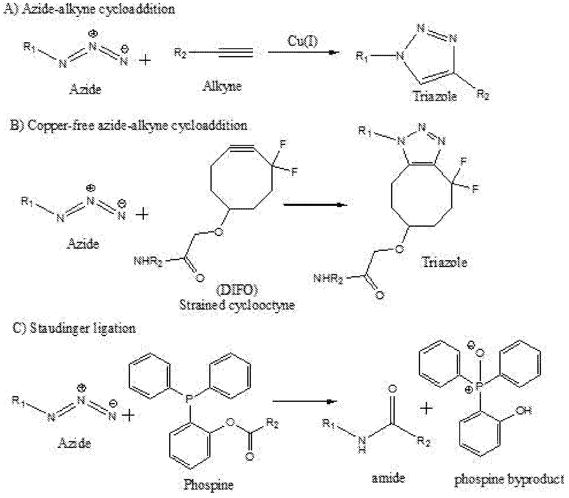 Figure imgf000123_0001