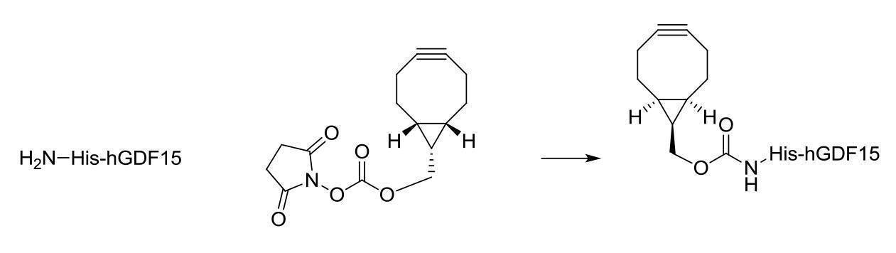 Figure 2022095757000112