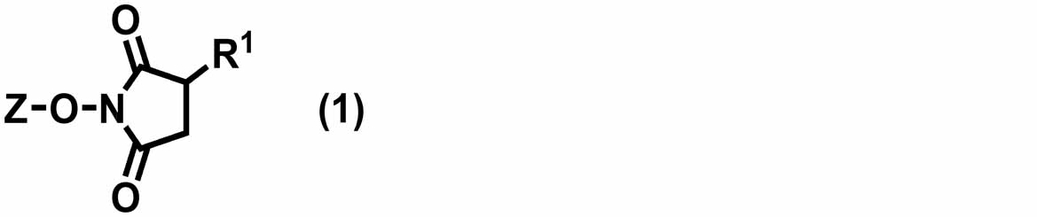 Figure JPOXMLDOC01-appb-C000010