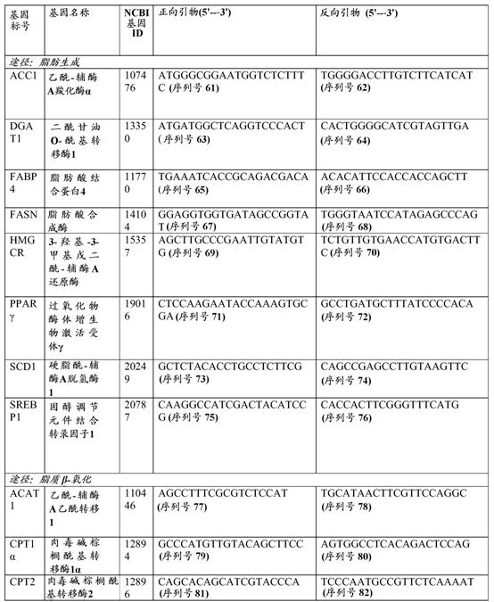Figure DEST_PATH_IMAGE020