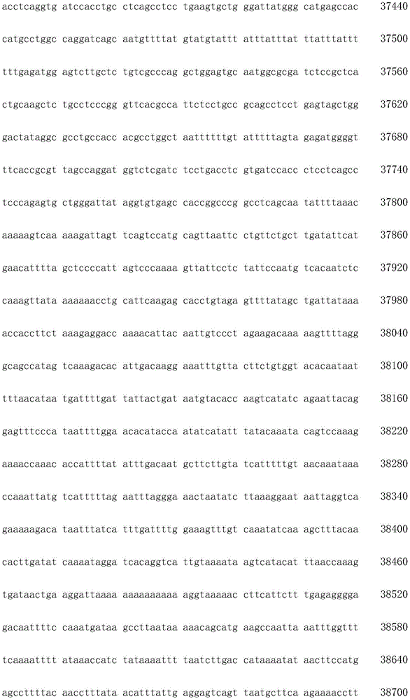 Figure IDA0003936212790000481