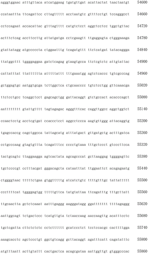 Figure IDA0003936212790000611