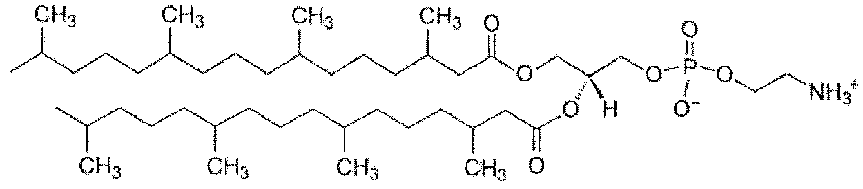 Figure imgf000048_0001
