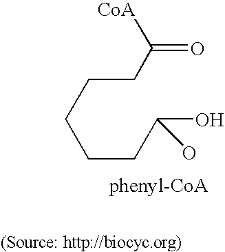 Figure US06945925-20050920-C00013