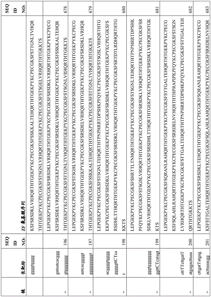 Figure BDA0003935065550000541