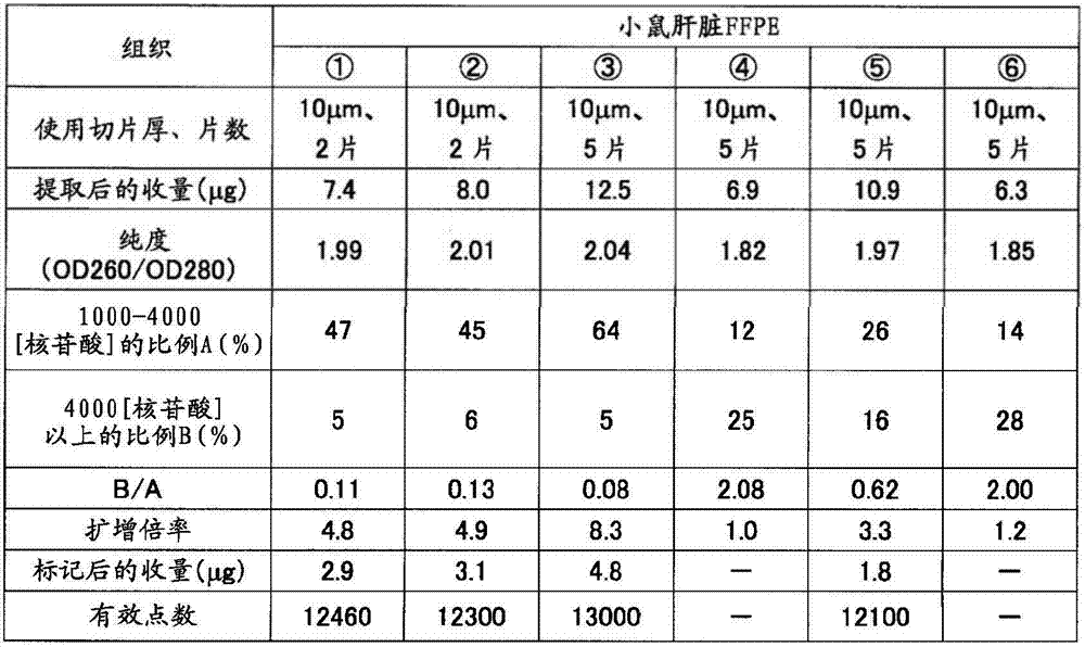Figure GDA00001764333500232