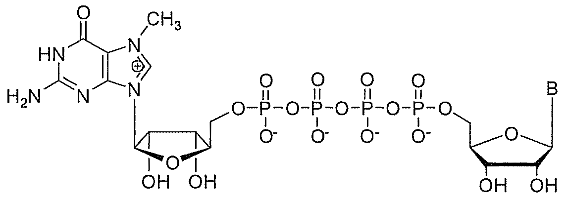 Figure imgf000030_0002