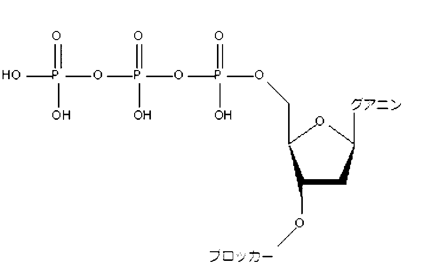 Figure 0007523526000020