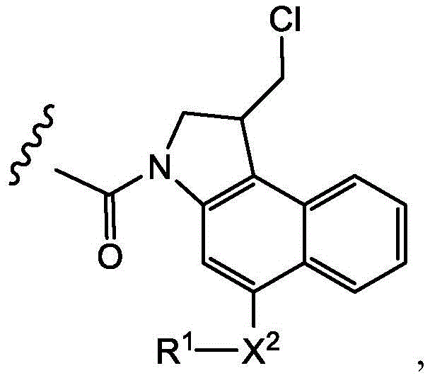Figure BDA0003169464670000301