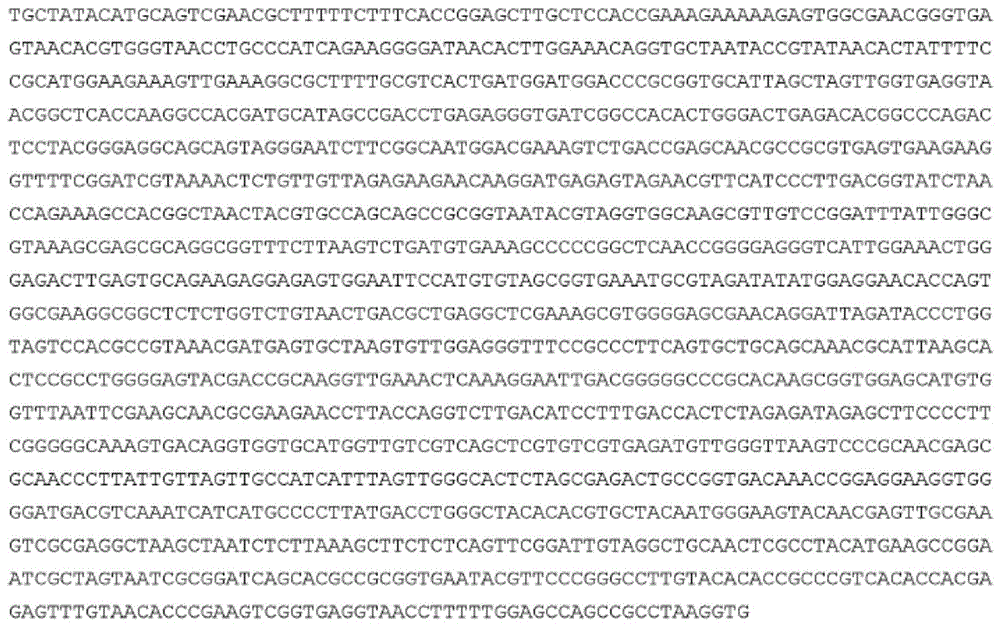 Figure BDA0001661498370000491